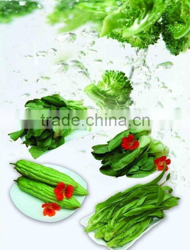 vegetable and fruit washing machine/home vegetable washing machine/vegetable washing machine