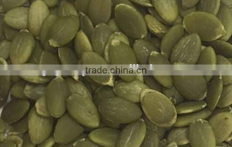 New crop green pumpkin seeds for sale