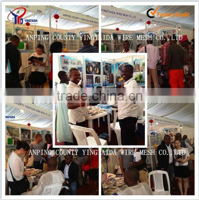 galvanized wire mesh antique hanging bird cages (ISO9001 factory)