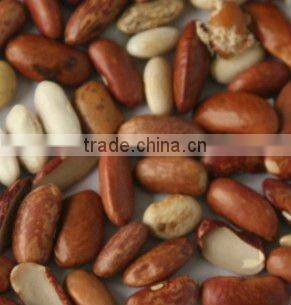 Red kidney bean ccd color sorter, more stable and more suitable