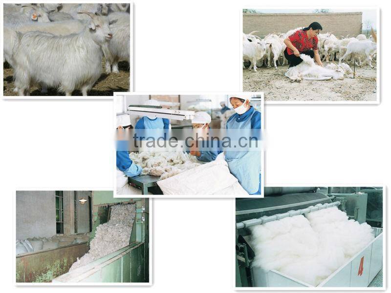 Erdos cashmere woolen hand fingerless gloves for girls