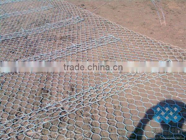 Galvanized/PVC coated hexagonal wire netting/chicken wire mesh