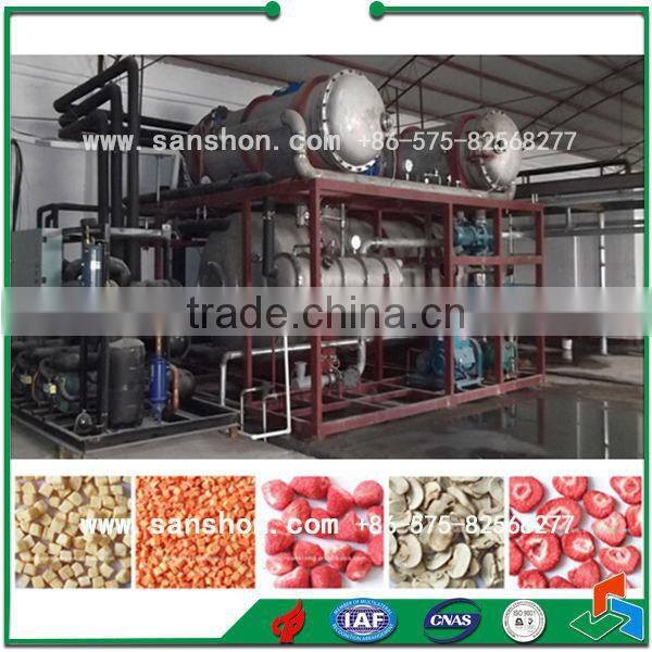 Advanced Sanshon industrial food freeze drying machine for sale