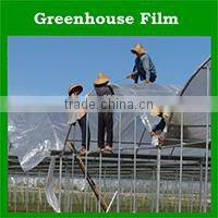 laminated blue/orange pe tarps/plastic poly tarpaulin with reinforced edge and grommets