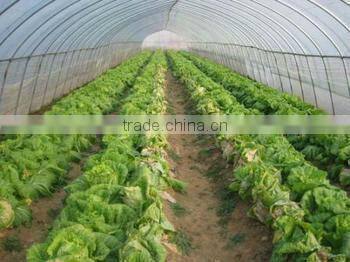 PE plastic film for greenhouse/mulch/agriculture