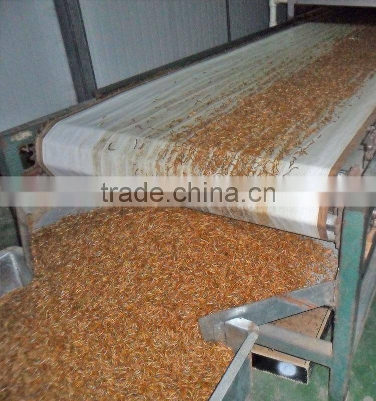 Fish food 2.5--2.8 dried mealworms; Tenebrio Molitors