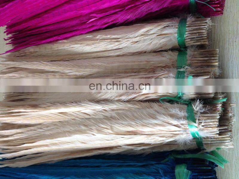 white color ringneck pheasant feathers