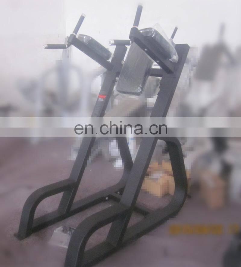 Professional Precor Fitness Exercise Machine Vertical Knees UP/DiP In Gym SP34