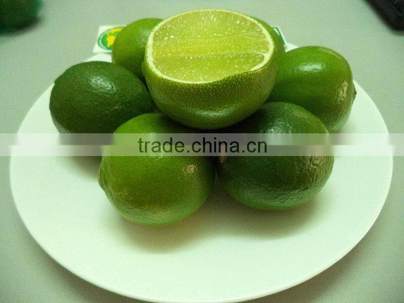 FRESH AND FROZEN LEMON WITH BEST PRICE FOR NOW