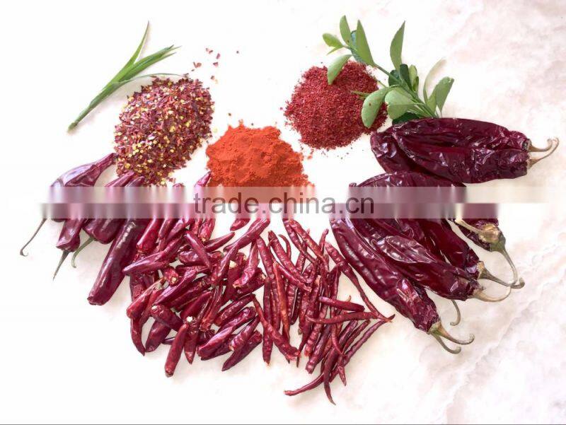 Big Size Chili Cutting Ring Chili Segment Chili Circle