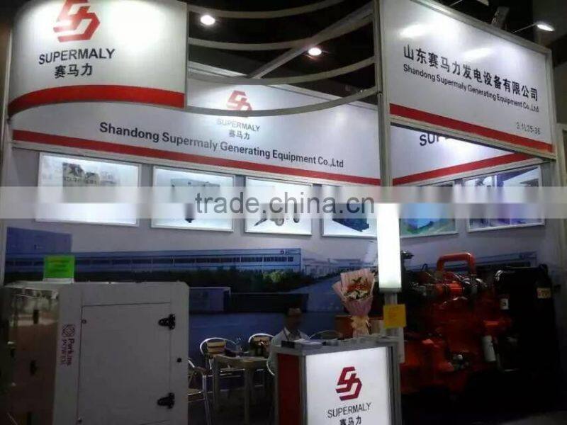 OEM manufacturer generator diesel iso9001 ce