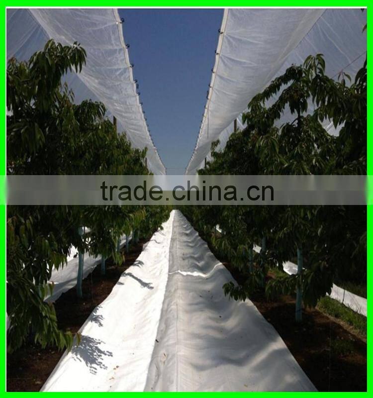 100% virgin with UV treated woven transparent pe cover,cherry anti acid protection cover