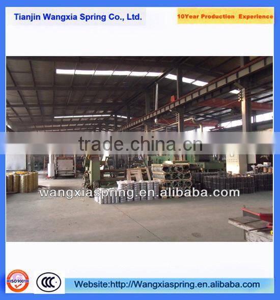 Stainless Steel 302ss Customed Torsion Spring