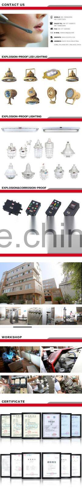 Hot sales and save energy LED Explosion proof Protected Lighting Fixtures (IIB,IIC,DIP)