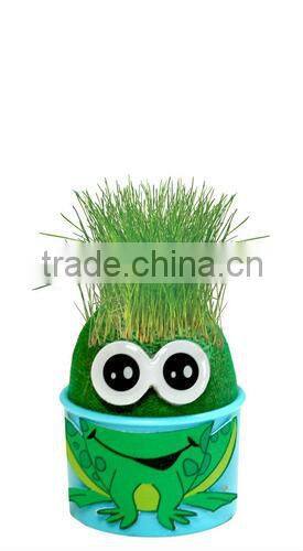DIY grass head dolls plants for birthday gift