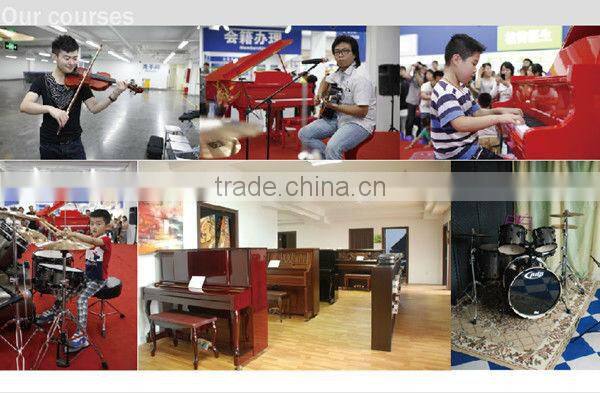 New Popular Student Violin SV 500