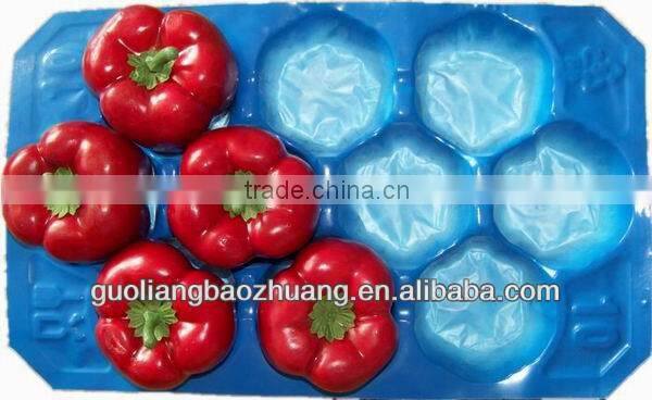 OEM 5LB/10LB/15LB PP Plastic Tomato Trays
