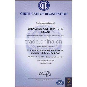 Latex Euro Top Spring Mattress/MNU-LP29/AIDI