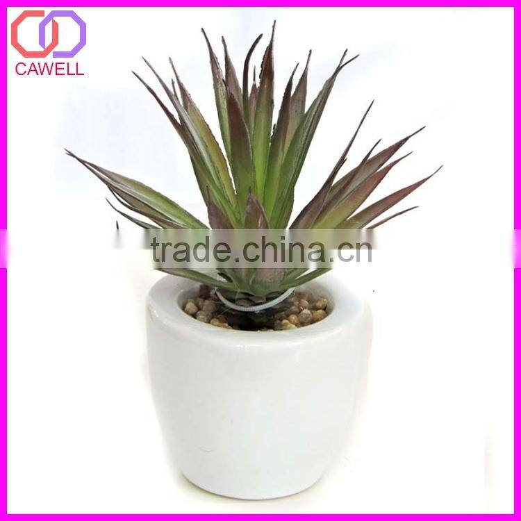 artificial cactus plant cactus succulent