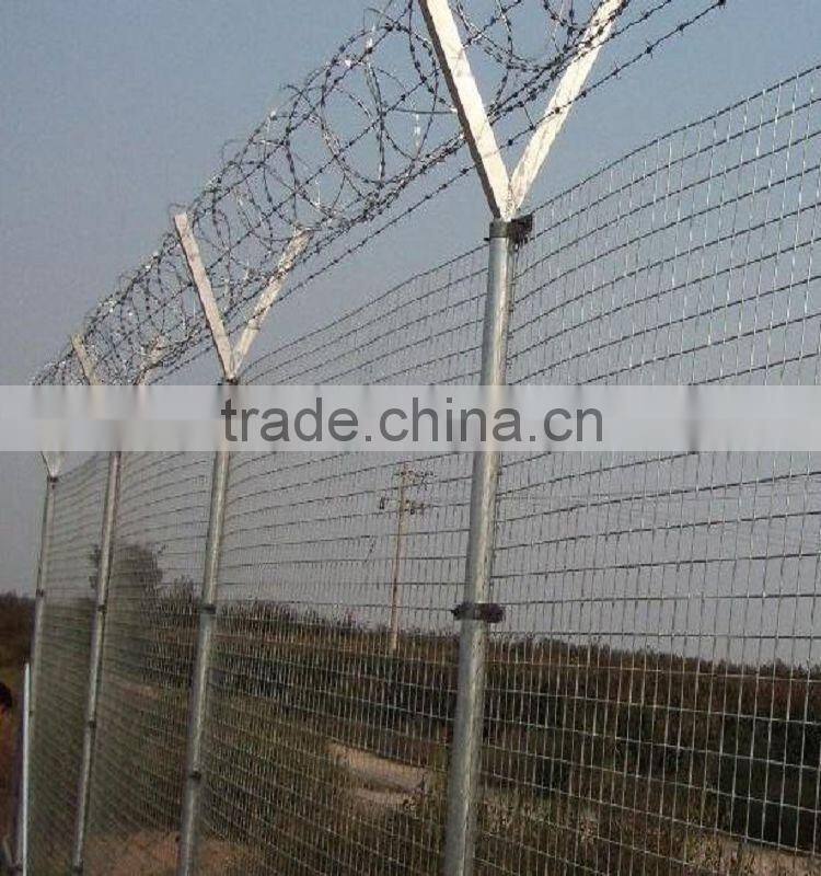 galvanized barbed wire factory / Barbed Wire