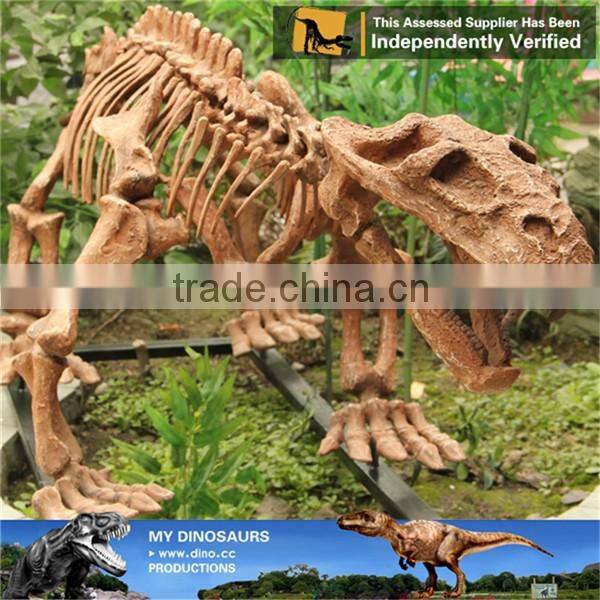 MY Dino-C077 Life size dog skeleton for decoration