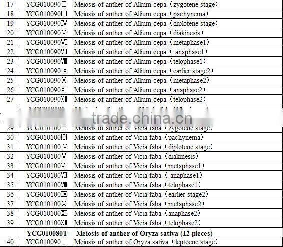 botany and zoology Mitosis Meiosis prepared slides set for higher education