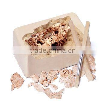 Mid Dinosaur Skull Dig Kit with stand, 6 assorted, 24pcs per display.