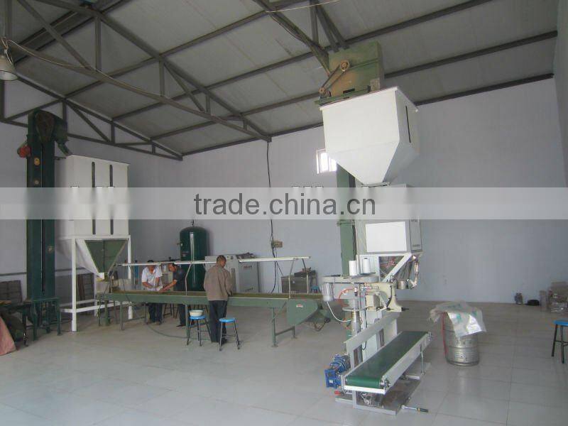 Prime quality Brown Flax Seeds