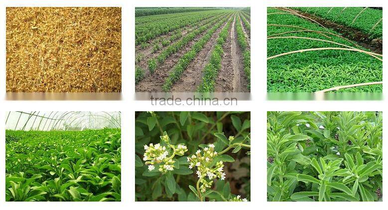 Pure Stevia Glycosides Steviol Glycosides 90% 95% Rebaudioside A (Reb A) 97% HPLC