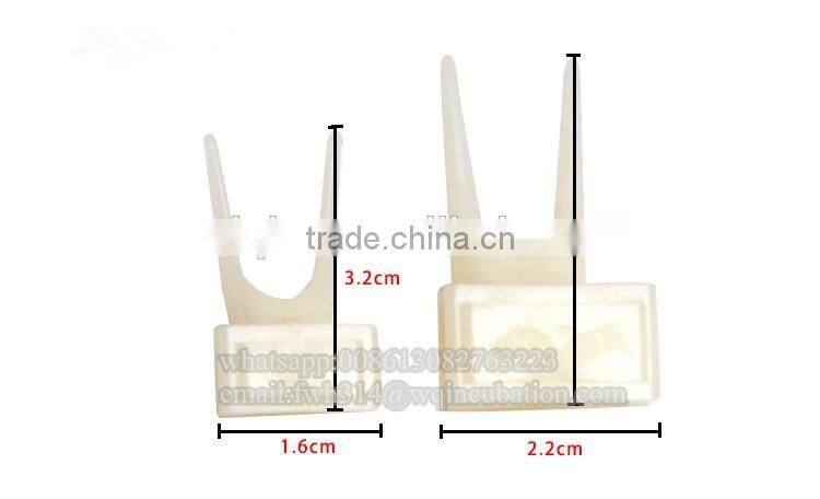 Plastic Bird Feeders Fruit Food Fork Install Cage Accessories