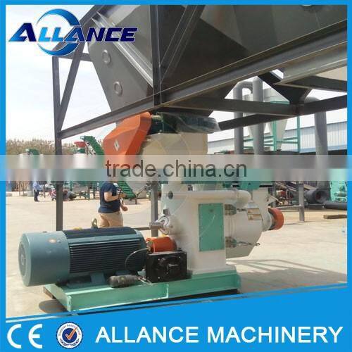 European Standard Palm Fiber Pellet Press Machine