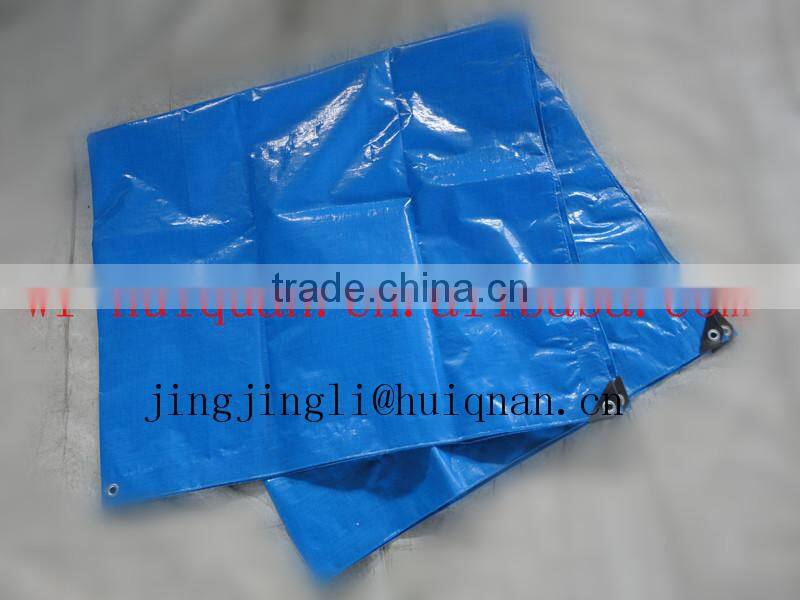 Swimming Pool Tarp silver