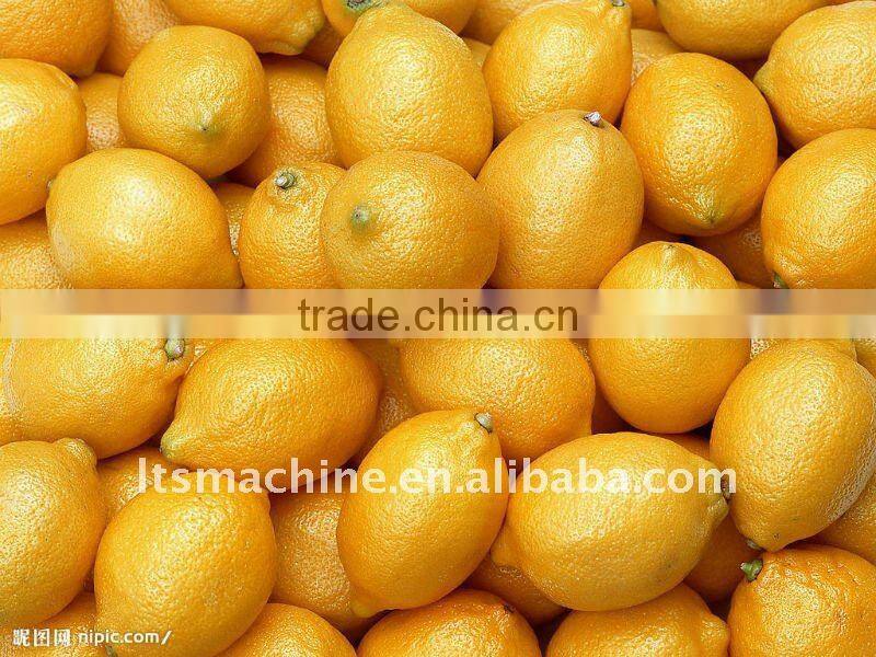 Fruit Washing and Waxing Machine(FS-QXDL)