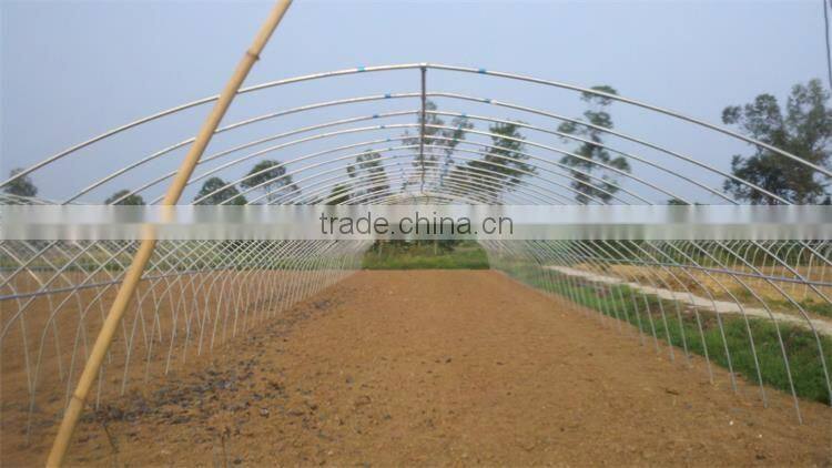 Cheap Professional Greenhouse Used For Vegetables