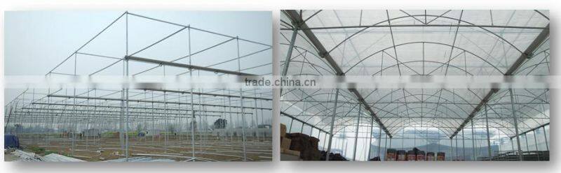 steel frame greenhouse