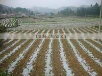 PE plastic covering film for greenhouse/mulch/construction