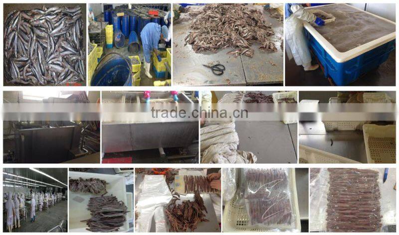 Good Quality Frozen Whole anchovy