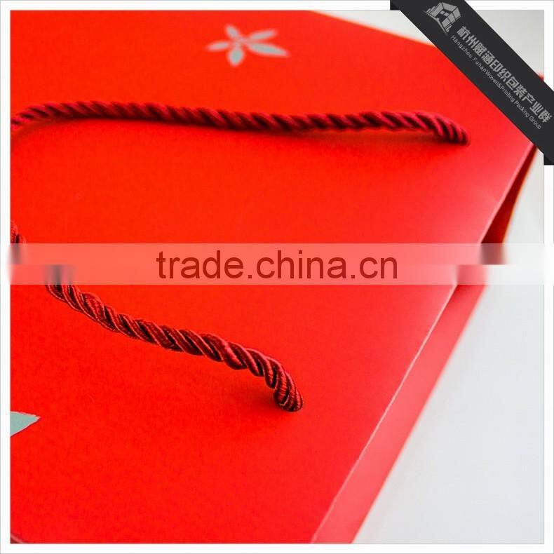 High Quality Matt Shopping Paper Bag/Fashionable Clothing Packaging Bag