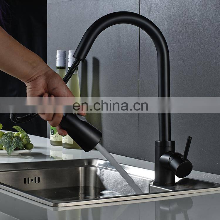 Pull out dual function flexible bathroom sink kitchen faucet,kitchen mixer