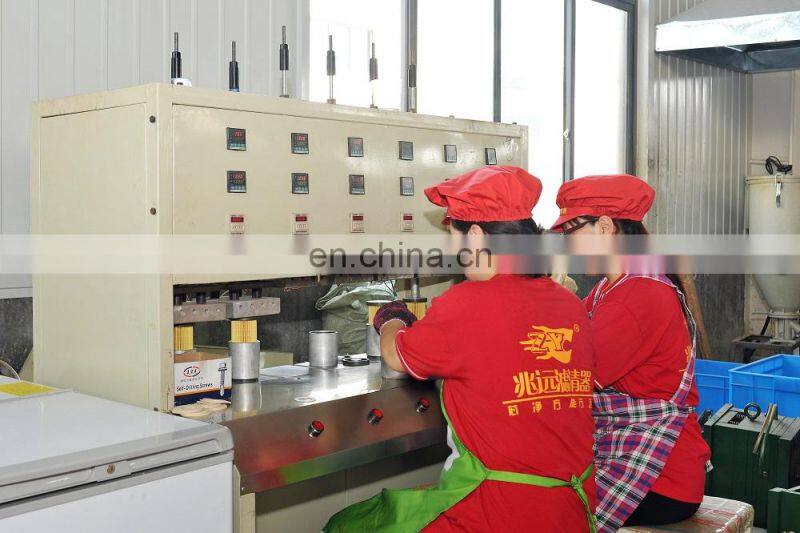 Air purifier hepa filter OEM 96314494 air filter material