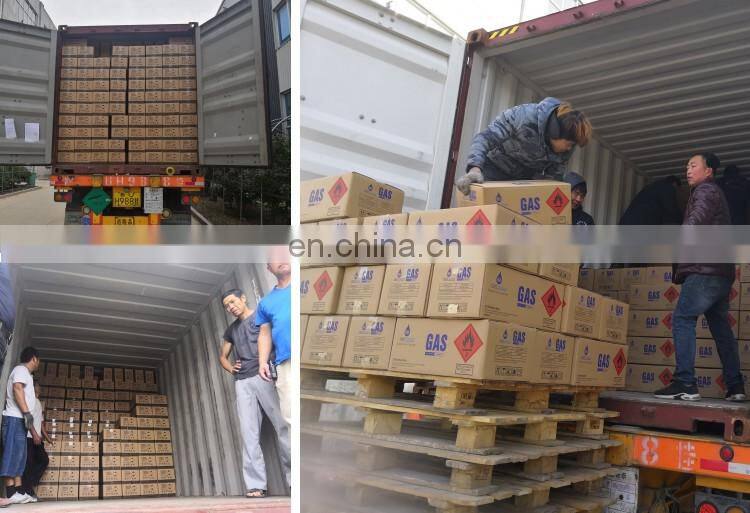 South American market Camping Gas Cartridge For Butane 220g