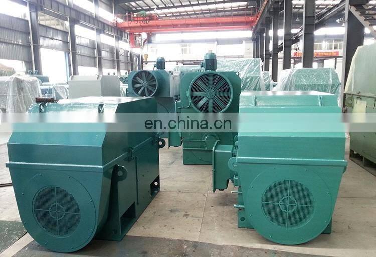 11KV high voltage three phase induction motor