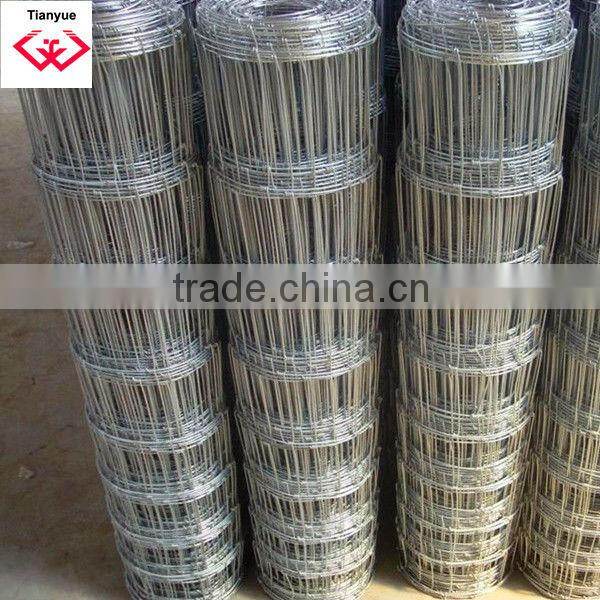 Galvanized Grassland Fence/Anping Manufacturer