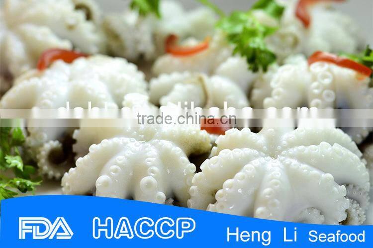 HL0099 clean flowered portuguese octopus