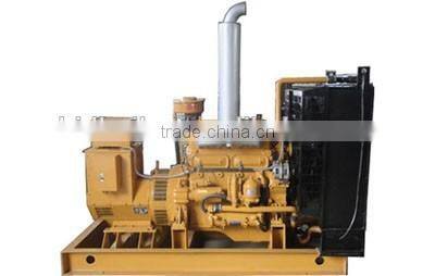 Biomass gasification type power generator