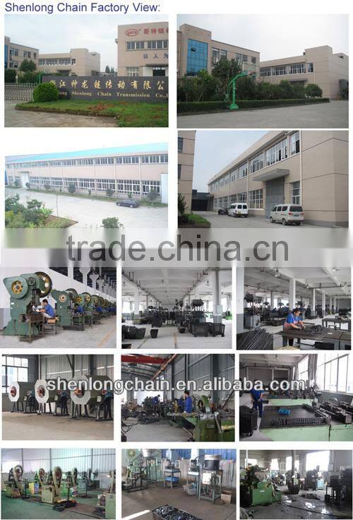 BL1666(LH3266) High strength leaf chains