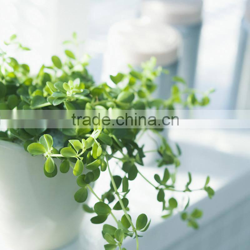 wholesale flower group painting on canvas