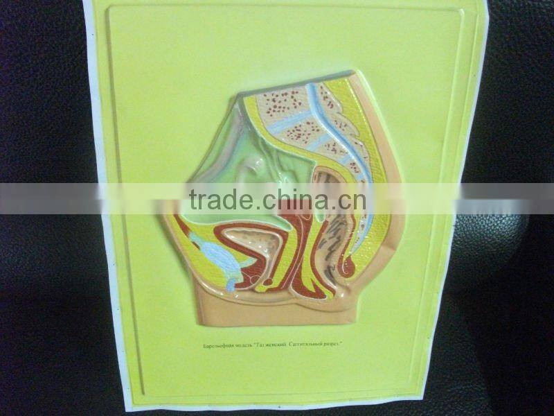 A3 size 3D embossed poster printing