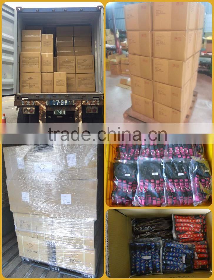 Safety quick release breakaway cat collar with bell