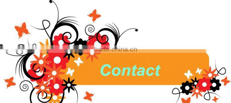 DC DC Converter (12V to 19V 8A DOXIN)